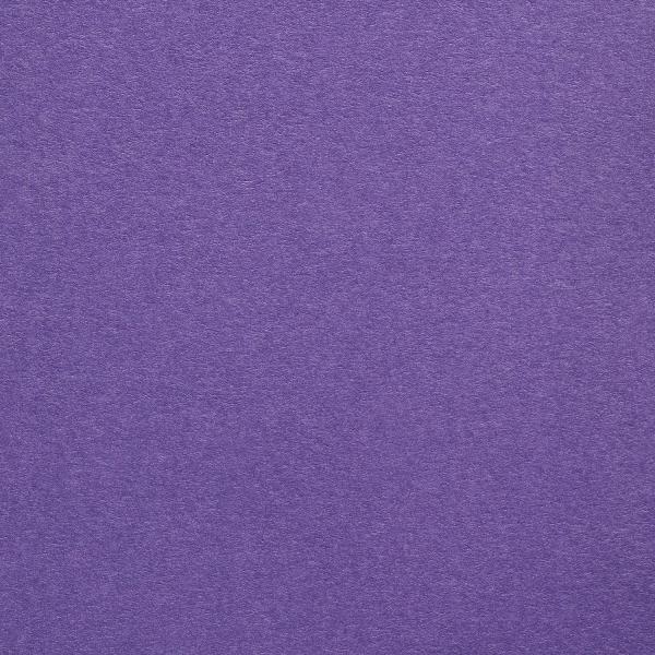 Colorplan Hüllen・plain (matt)・Purple 