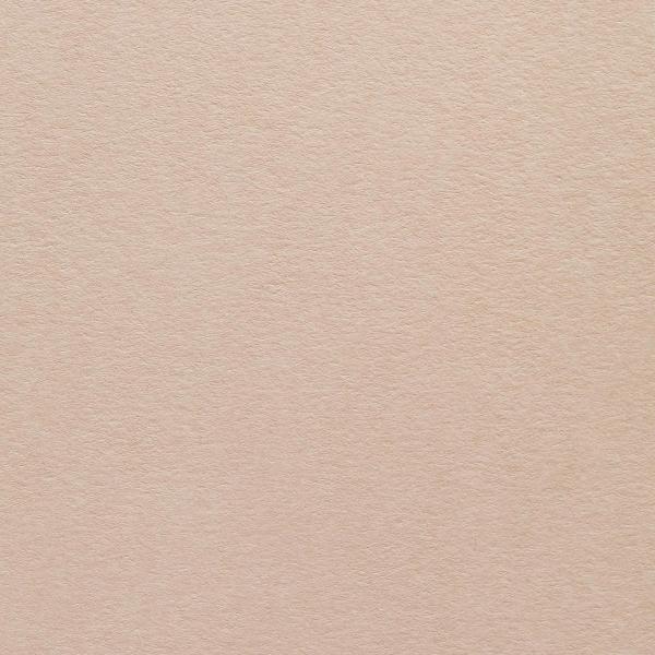 Colorplan・plain (matt)・Stone 
