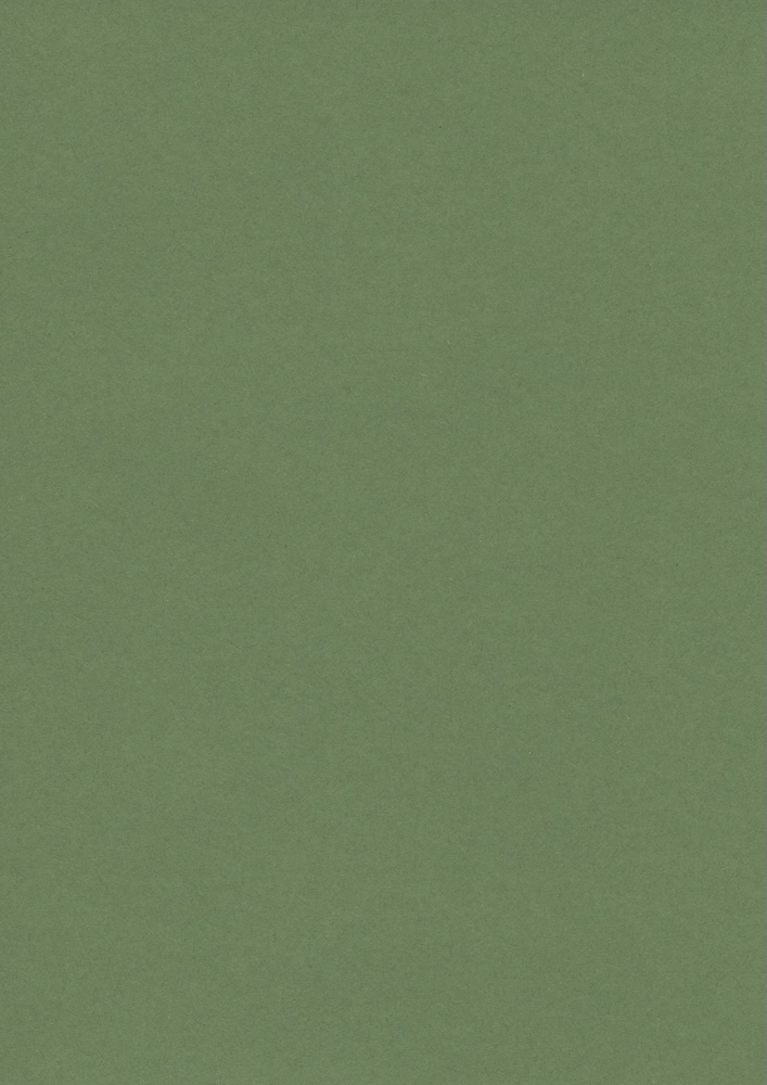 Römerturm Feinstpapier | Colorplan Extracted・plain (matt)・Matcha